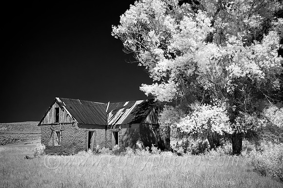 High Desert Homestead