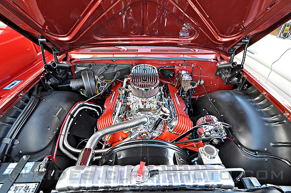 DSC_8578