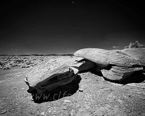 Hopi Desert