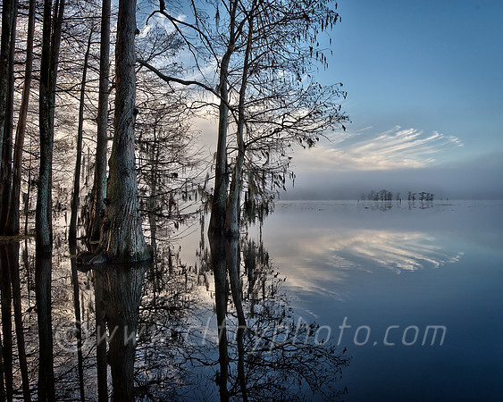 Caddo December Morning