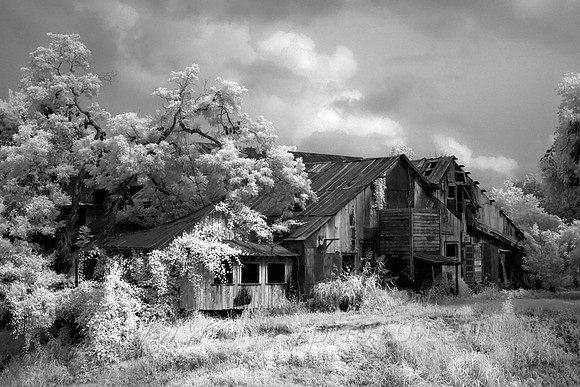 Zedler Mill