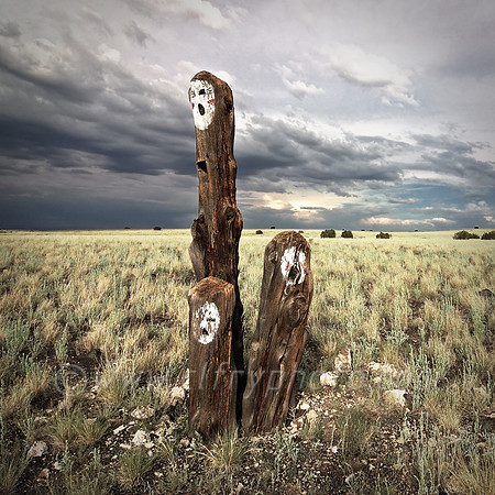 Wailing Stumps