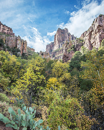 Devil's Fall Colors