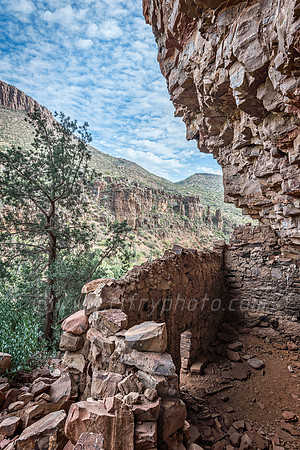 Coon Creek Ruin