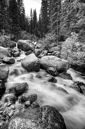 Scott Gomer Creek