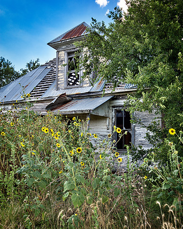 Sunflower Farmhouse
