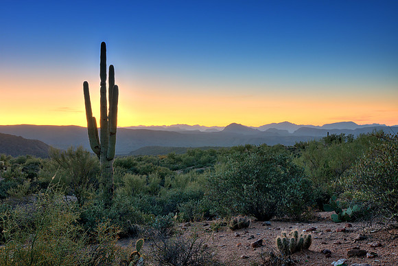 Arizona Sunrise