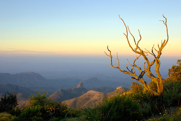 Dawn on the Rim