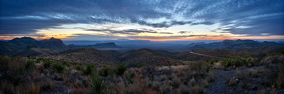 Sotol Sunset