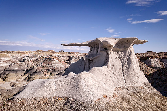 Bisti Wings, South