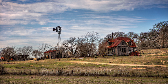 Texas Scene