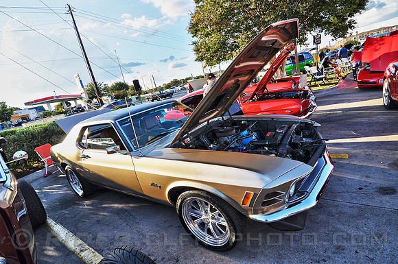 DSC_8642-HDR