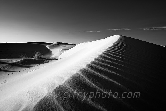 Odessa, Monahans, Texas, Tx, sand, dunes, sandhills state park
