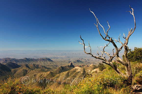 South Rim