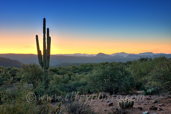 Arizona Sunrise