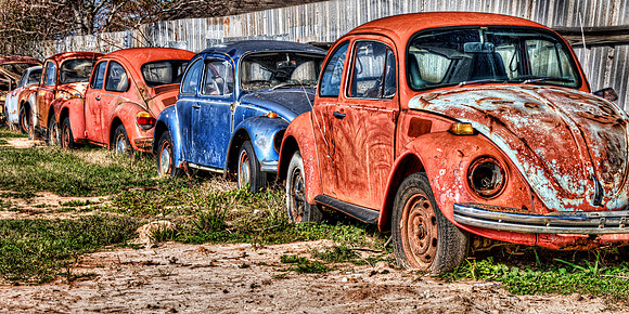 Beetle Parade