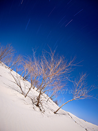 Odessa, Monahans, Texas, Tx, sand, dunes, sandhills state park