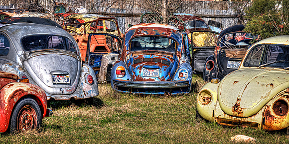 Beetle Lounge
