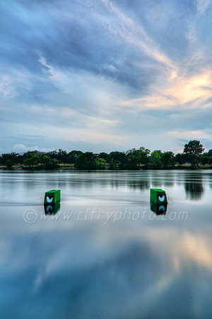 Town Lake Monster