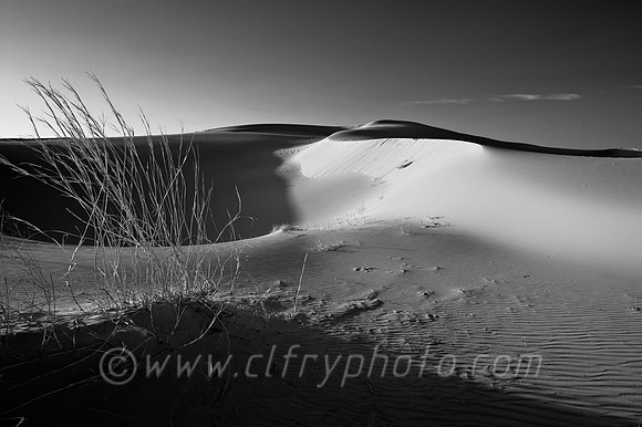 Odessa, Monahans, Texas, Tx, sand, dunes, sandhills state park