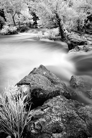 Twin Falls