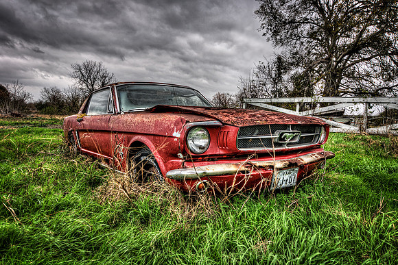 Red Pony