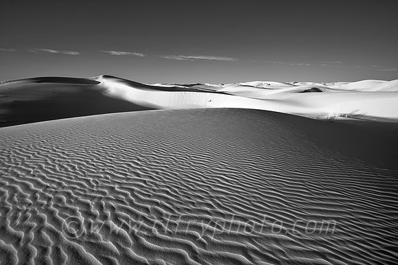 Odessa, Monahans, Texas, Tx, sand, dunes, sandhills state park