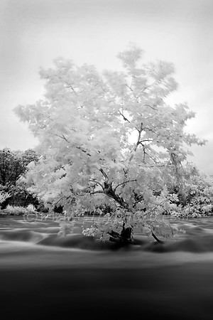 Barton Creek in Austin, Texas