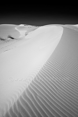 Odessa, Monahans, Texas, Tx, sand, dunes, sandhills state park