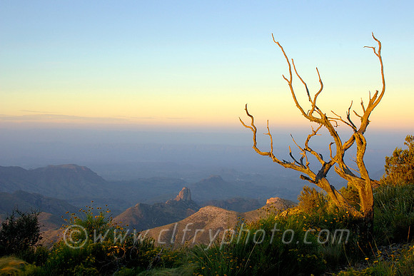 Dawn on the Rim