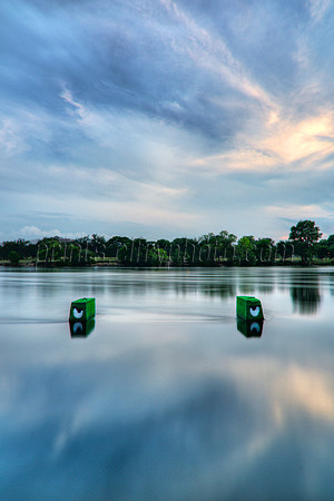 Monster in Town Lake