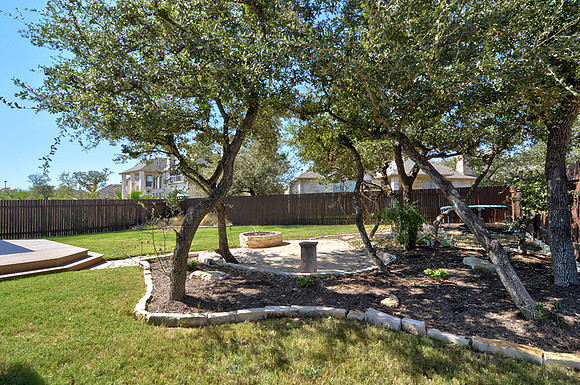 Back yard